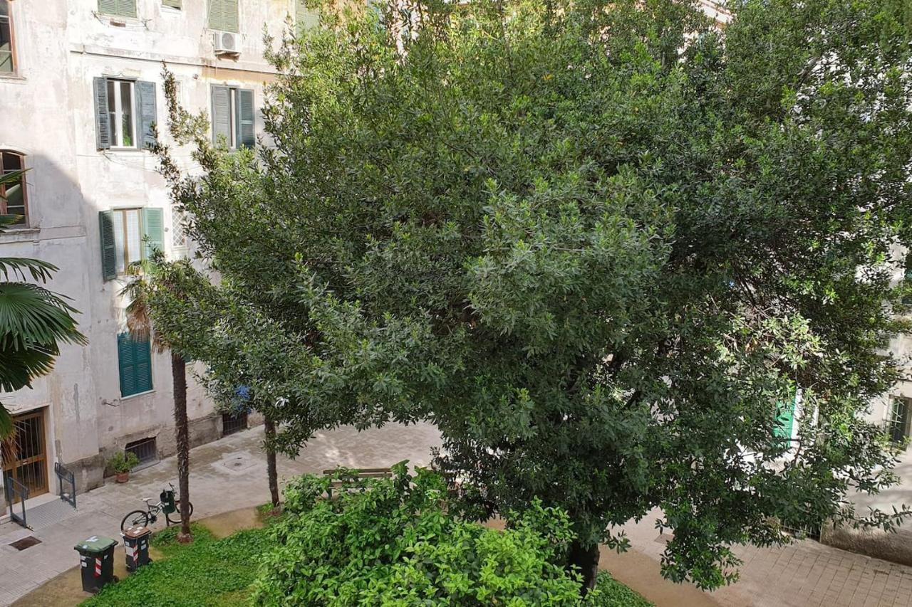 Casa Ferrari Testaccio E Trastevere Wi-Fi Free Róma Kültér fotó